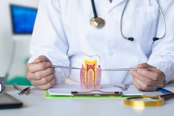 Best Emergency Gum Treatment in Pontiac, IL